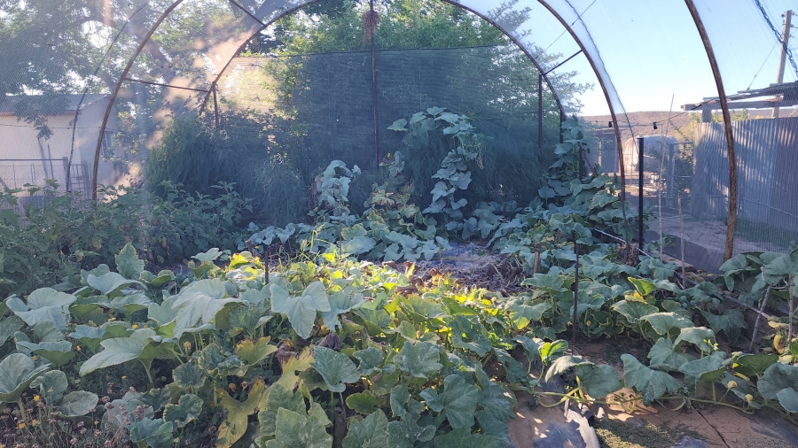 0 Bedroom Property for Sale in Calvinia Rural Northern Cape